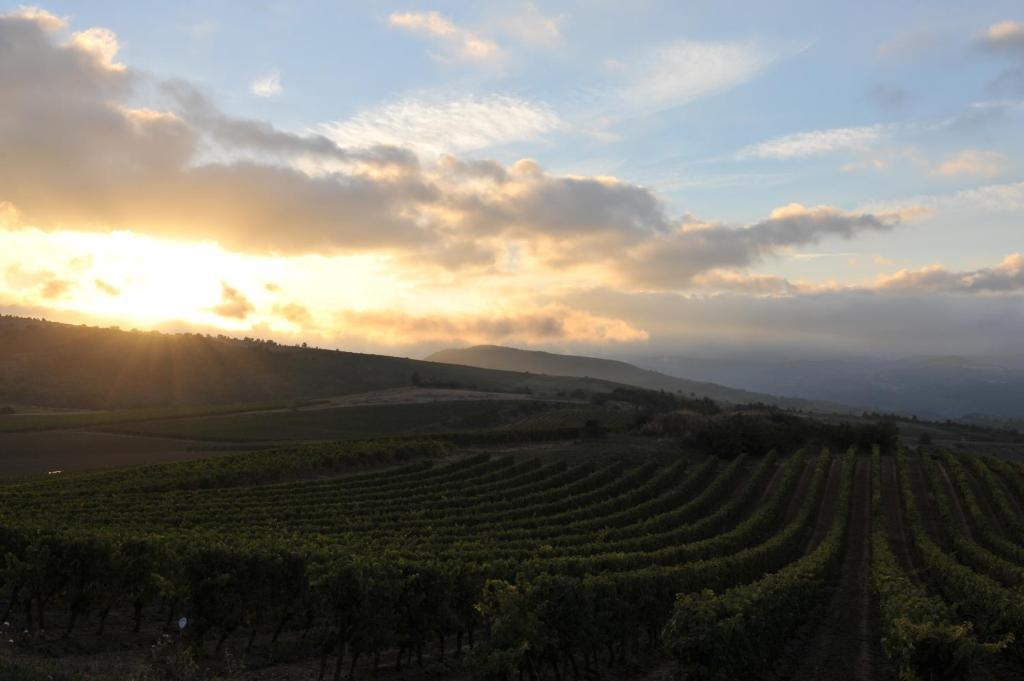 Domaine Bellelauze 호텔 Bouriège 객실 사진